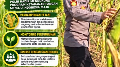 Mendukung Program Ketahanan Pangan, Bhabinkamtibmas Monitoring Pertumbuhan Jagung